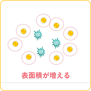 step4